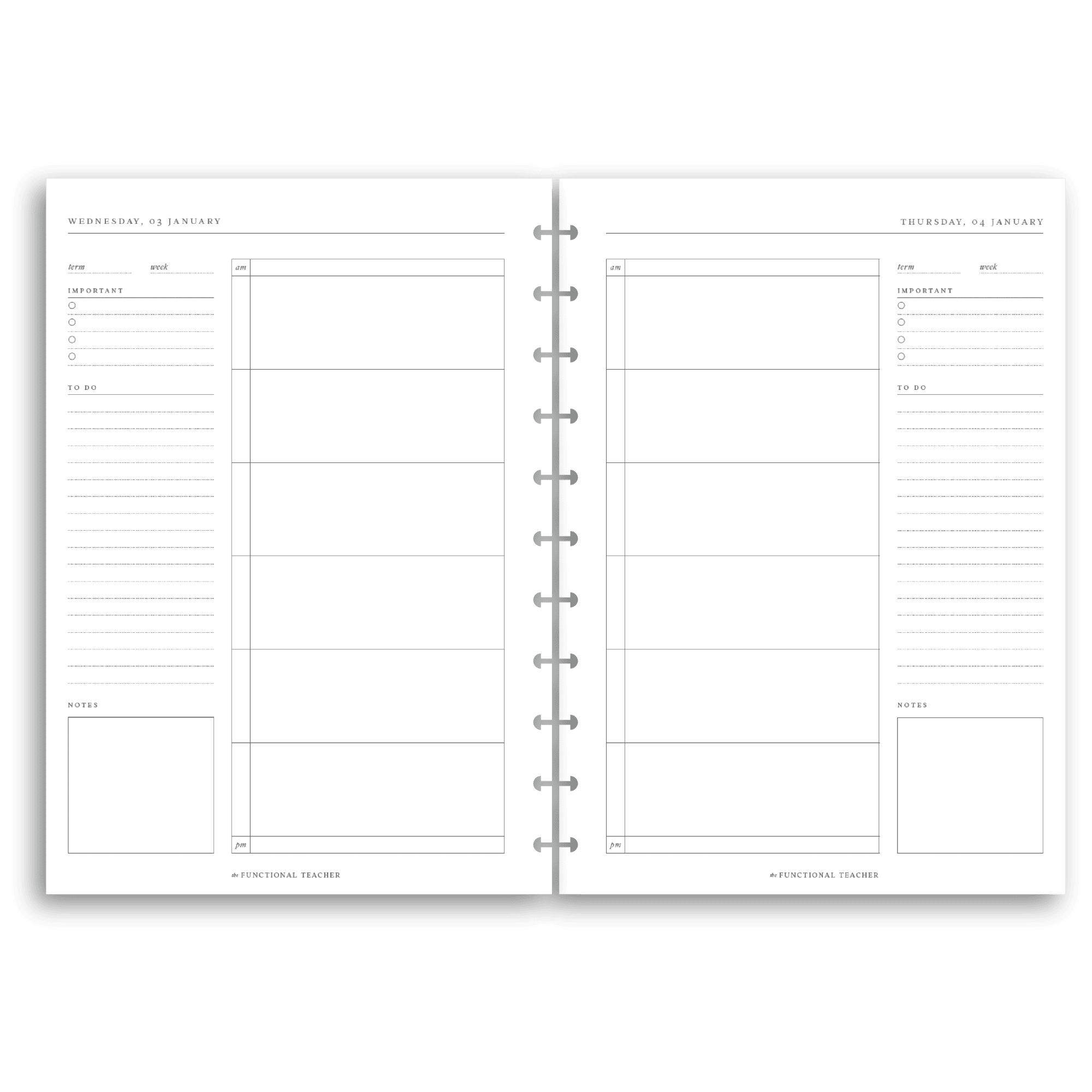 2024 Daily Disc Inserts The Functional Teacher   2024 Disc Internal Pages Daily Spread 2 